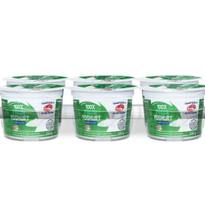 Al Ain Farms Fresh Full Cream Yoghurt 6 x 100 g